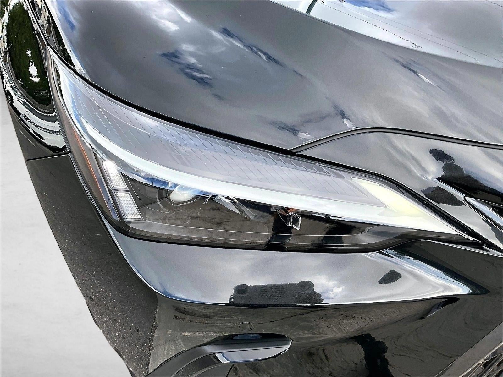 2025 Lexus NX 250 NX 250