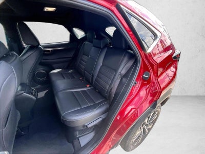 2019 Lexus NX 300 F SPORT