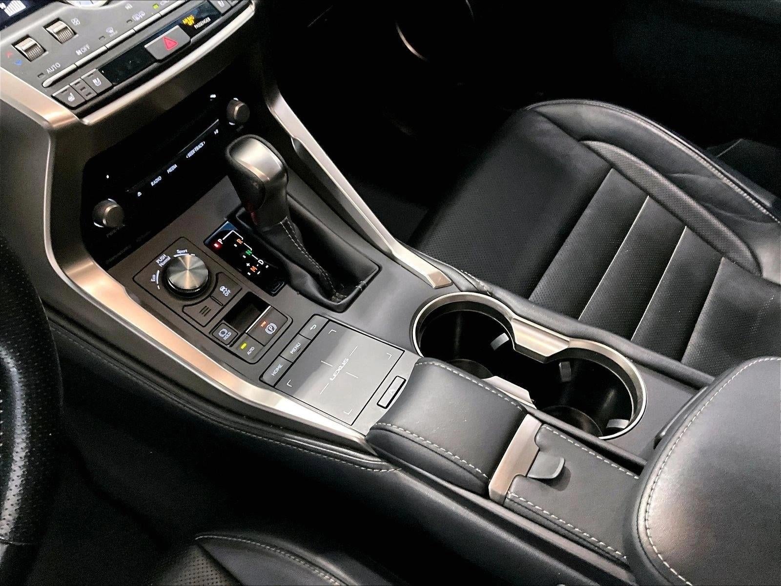 2019 Lexus NX 300 F SPORT