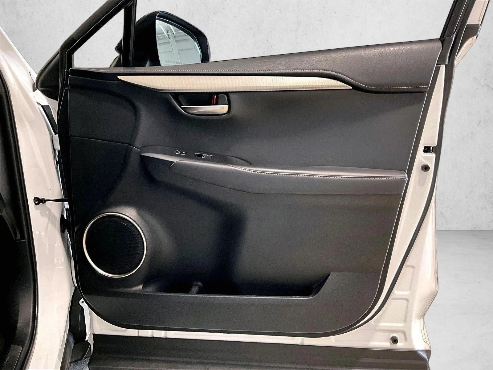 2019 Lexus NX 300 F SPORT