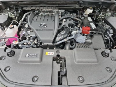 2026 Lexus NX 350 Luxury
