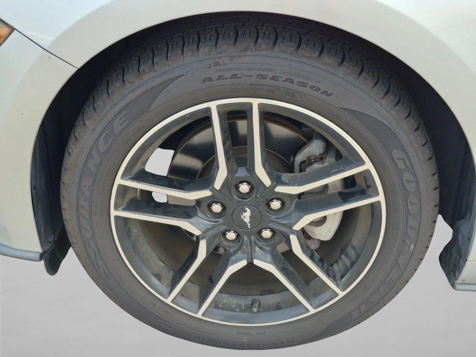 2019 Ford Mustang EcoBoost