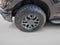 2025 Ford F-150 Tremor 4WD SuperCrew 5.5' Box