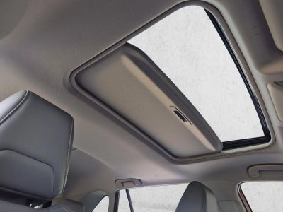2019 Toyota RAV4 Limited FWD (Natl)