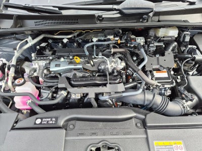 2026 Toyota Prius XLE (Natl)