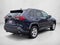 2019 Toyota RAV4 XLE AWD (Natl)
