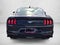 2021 Ford Mustang EcoBoost Fastback