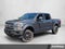 2020 Ford F-150 Platinum 4WD SuperCrew 5.5' Box