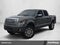 2013 Ford F-150 4WD SuperCrew 5-1/2 Ft Box Platinum