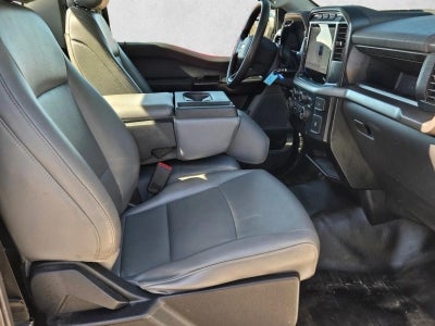 2024 Ford F-150 XL 2WD Reg Cab 8' Box