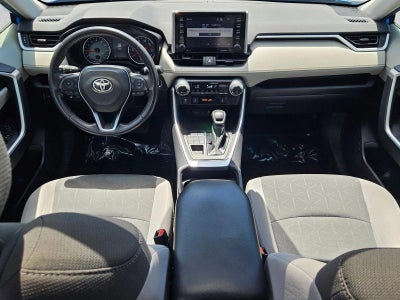 2019 Toyota RAV4 XLE AWD (Natl)
