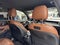 2019 Mercedes-Benz GLC GLC 300 SUV