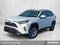 2019 Toyota RAV4 XLE AWD (Natl)
