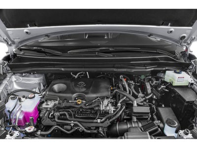 2021 Toyota Sienna XLE FWD 8-Passenger (Natl)