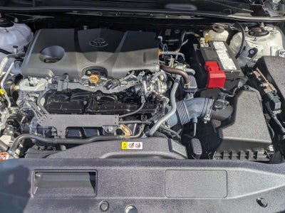 2023 Toyota Camry LE Auto (SE)