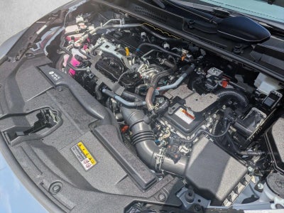 2025 Toyota Prius XLE (Natl)