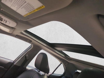 2019 Toyota Camry XSE Auto (Natl)