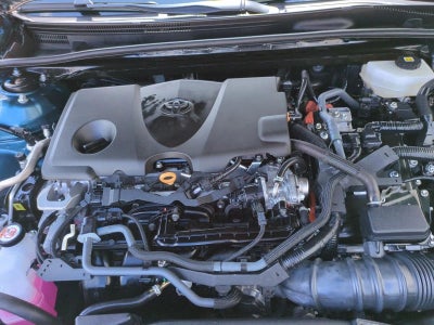 2025 Toyota Camry SE (Natl)