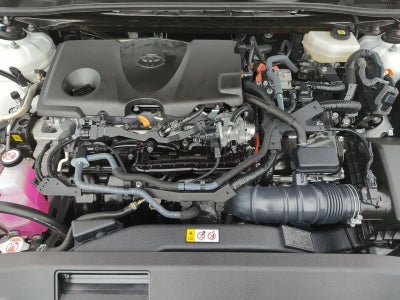 2025 Toyota Camry SE (Natl)