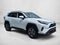 2024 Toyota RAV4 Hybrid XLE AWD (Natl)