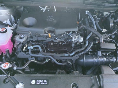 2025 Toyota Sienna XLE FWD 8-Passenger (Natl)