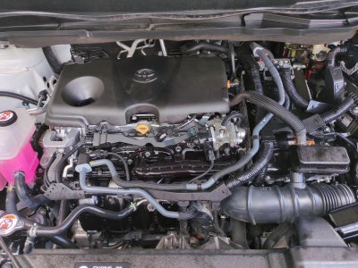 2024 Toyota Sienna Limited FWD 7-Passenger (Natl)