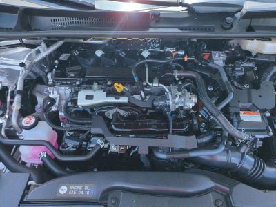 2023 Toyota Prius XLE (Natl)
