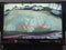 2024 Toyota 4Runner SR5 Premium 4WD (Natl)