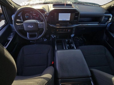 2023 Ford F-150 XL 4WD SuperCrew 5.5' Box
