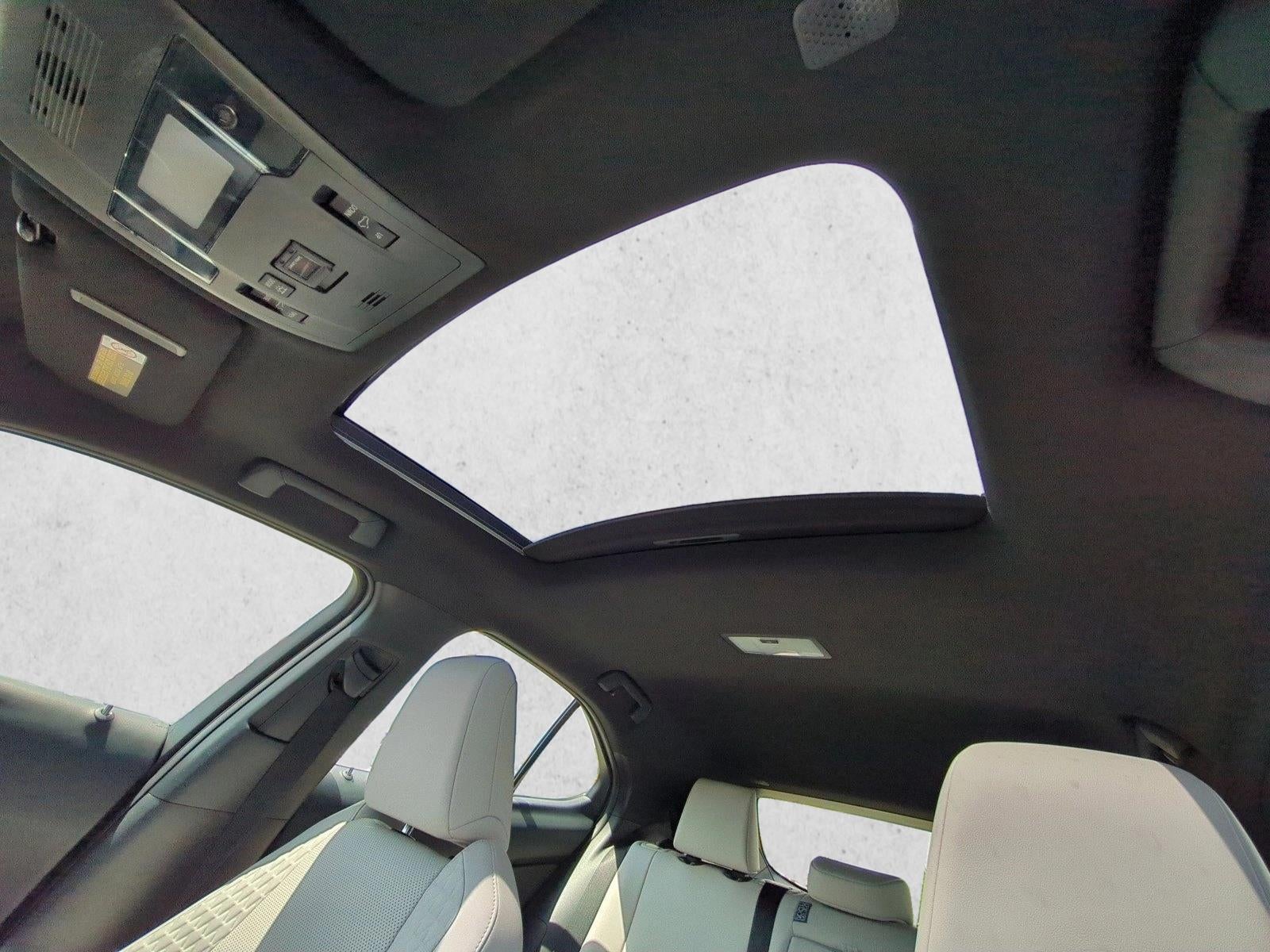 2019 Lexus UX 250h AWD