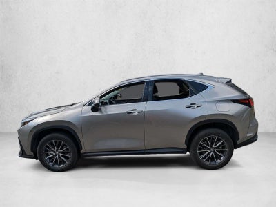 2023 Lexus NX 250 FWD
