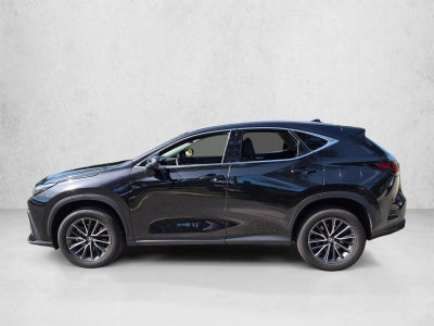 2024 Lexus NX 350h AWD