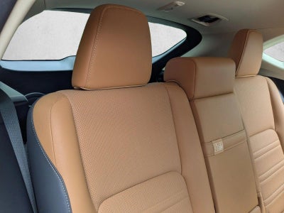 2019 Lexus NX 300 AWD
