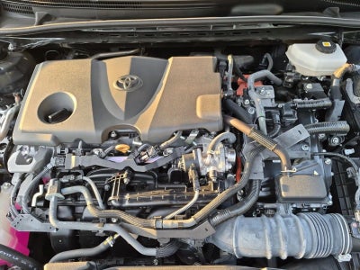 2025 Toyota Camry XLE (Natl)