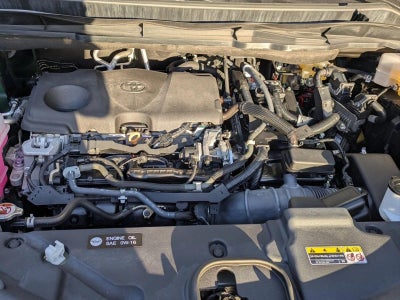 2021 Toyota Sienna XLE FWD 8-Passenger (Natl)